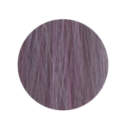 ETB Hair Permanent Color Cream - Крем-краска дял волос, 10.2 - BLONDE PLATINUM IRIS / платиновый блонд ирис