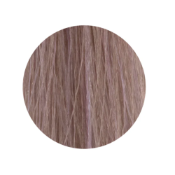 ETB Hair Permanent Color Cream - Крем-краска дял волос, 10.21 - BLONDE PLATINUM IRIS ASH / пепельный ирис платиновый блонд