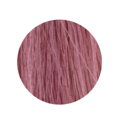 ETB Hair Permanent Color Cream - Крем-краска дял волос, 10.26 - BLONDE PLATINUM IRIS RED / платиновый блонд ирис красный