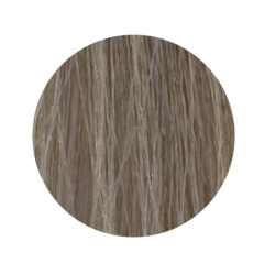 ETB Hair Permanent Color Cream - Крем-краска дял волос, 11.1 - BLONDE ULTRA PLATINUM ASH  / ультра платиновый пепельный блонд