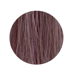 ETB Hair Permanent Color Cream - Крем-краска дял волос, 9.21 - VERY LIGHT BLONDE IRIS ASH / очень светлый пепельный ирисовый блонд