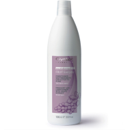 Oyster FRUIT SUBLIME Grape Extract Conditioner - Кондиционер для частого использования с экстрактом винограда, 1000ml