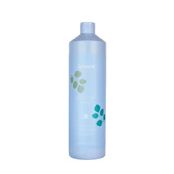 ECHOSLINE Balance+ Shampoo - Себорегулирующий шампунь, 1000ml