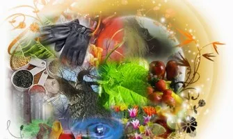 Золотые правила при выборе духов