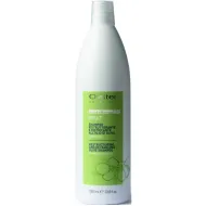 Oyster FRUIT SUBLIME Olive Shampoo - Питательный шампунь для сухих и вьющихся волос, 1000ml