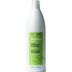 Oyster FRUIT SUBLIME Olive Shampoo - Питательный шампунь для сухих и вьющихся волос, 1000ml