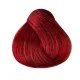 Singularity 8.66 LIGHT INTENSE RED BLONDE - Перманентная краска для волос, 100мл