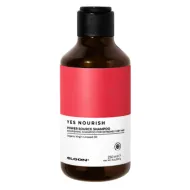ELGON Yes Nourish Power Source Shampoo - Питательный шампунь для очень сухих, нормальных и густых волос, 250ml