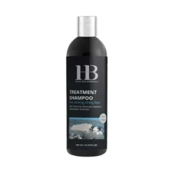 H&B Treatment Shampoo For Men - Шампунь для мужчин, 400мл