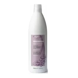 Oyster FRUIT SUBLIME Grape Extract Shampoo - Ежедневный шампунь, 1000ml