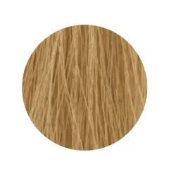 ETB Hair Permanent Color Cream - Крем-краска дял волос, 10.0 - BLONDE PLATINUM / платиновый блонд
