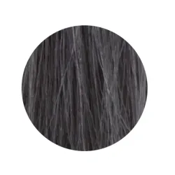 ETB Hair Permanent Color Cream - Крем-краска дял волос, 10.11 - BLONDE PLATINUM INTENSE ASH / интенсивно-пепельный платиновый блонд