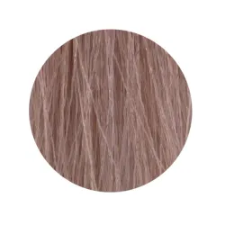 ETB Hair Permanent Color Cream - Крем-краска дял волос, 10.12 - BLONDE PLATINUM ASH IRIS / платиновый блонд пепельный ирис