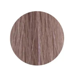ETB Hair Permanent Color Cream - Крем-краска дял волос, 10.21 - BLONDE PLATINUM IRIS ASH / пепельный ирис платиновый блонд