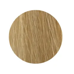 ETB Hair Permanent Color Cream - Крем-краска дял волос, 11.00 - BLONDE ULTRA PLATINUM INTENSE NATURAL  / интенсивно-натуральный ультра платиновый блонд