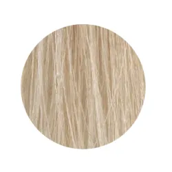 ETB Hair Permanent Color Cream - Крем-краска дял волос, 12.9 - BLONDE EXTRA PLATINUM SANDRE  / экстра платиновый песочный блонд