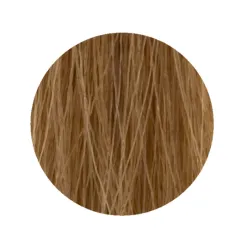 ETB Hair Permanent Color Cream - Крем-краска дял волос, 9.3 - VERY LIGHT BLONDE GOLD / очень светлый золотистый блонд