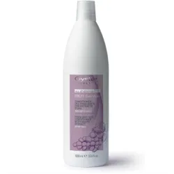 Oyster FRUIT SUBLIME Grape Extract Conditioner - Кондиционер для частого использования с экстрактом винограда, 1000ml
